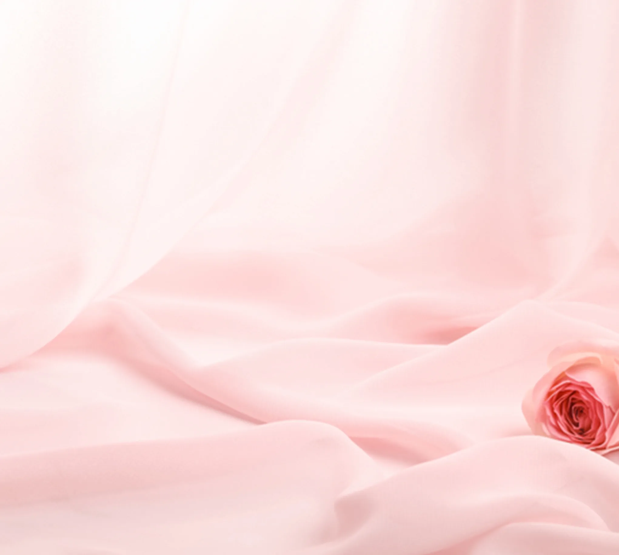 Soft pink silk and rose — ambient texture